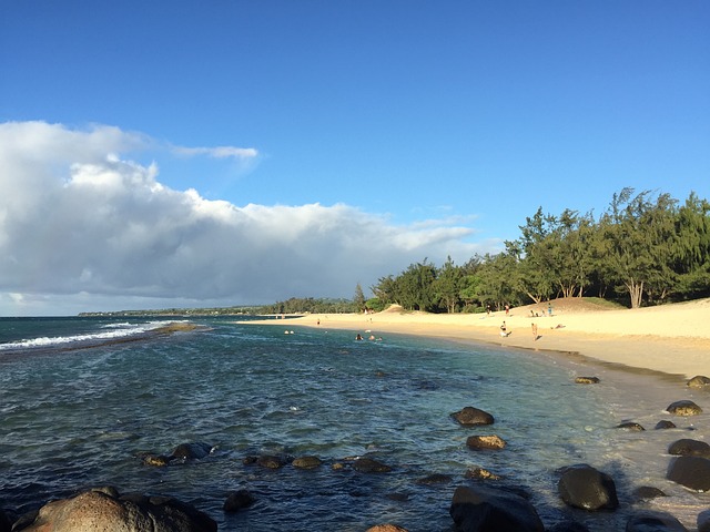 毛伊岛 夏威夷 Paia - 上的免费照片