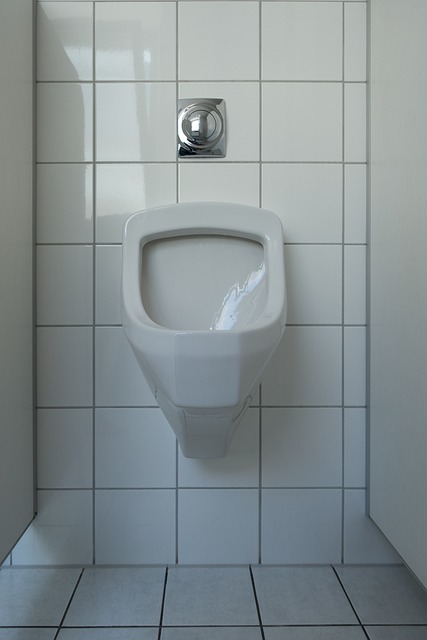 厕所 小便池 男子厕所 - 上的免费照片
