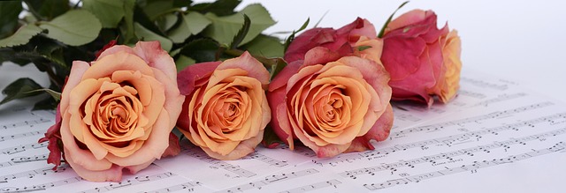 玫瑰 花朵 乐谱 - 上的免费照片