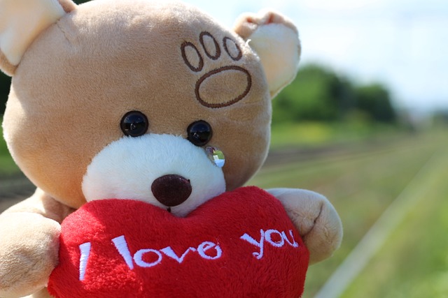 阻止儿童自杀 泰迪熊，哭泣 铁路 - 上的免费照片