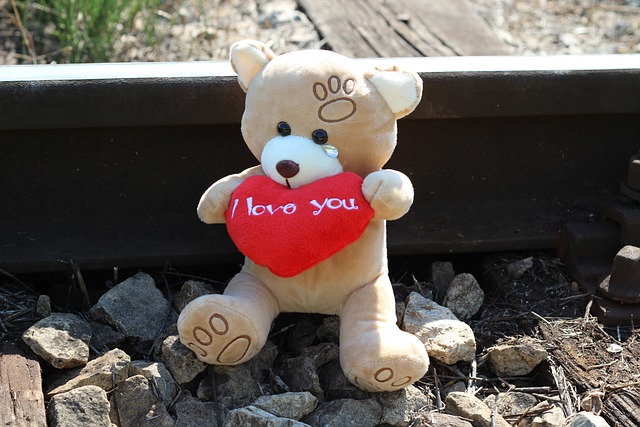 阻止儿童自杀 泰迪熊，哭泣 铁路 - 上的免费照片
