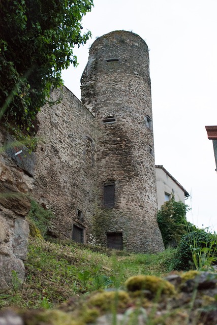 城堡 塔 中世纪 - 上的免费照片