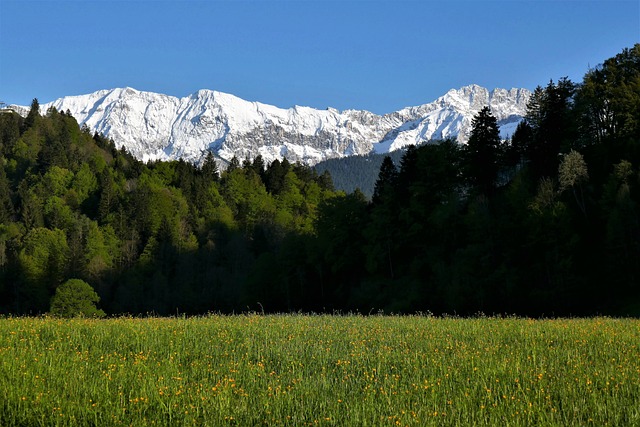 山 阿尔卑斯山 Karwendel - 上的免费照片