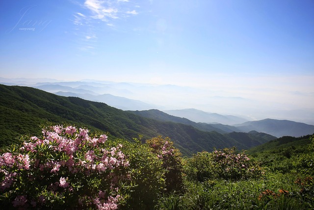 黄江山 春天 - 上的免费照片