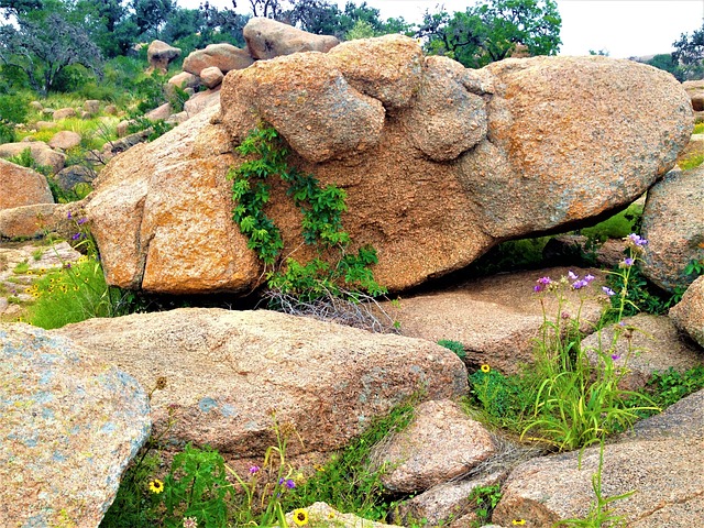 粉红色花岗岩 魔法石德克萨斯州 野花 - 上的免费照片