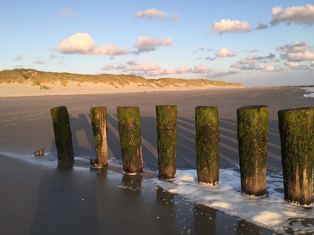 Ameland 海滩 假期 - 上的免费照片