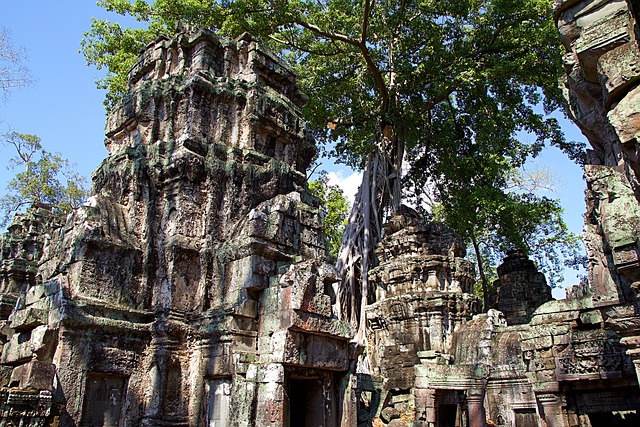柬埔寨 暹粒 吴哥窟 - 上的免费照片