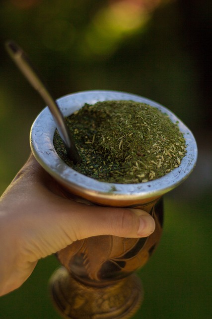 伴侣 马黛茶 饮料 - 上的免费照片