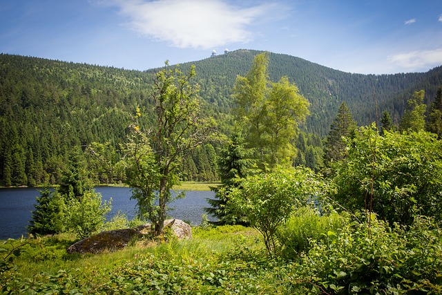 液压压装机 Kleiner Arbersee 高山湖泊 - 上的免费照片