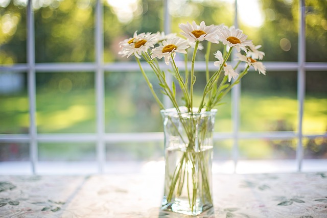 雏菊 花瓶 窗户 - 上的免费照片
