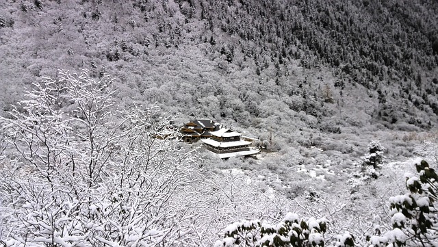 深山 寺院 雪 - 上的免费照片