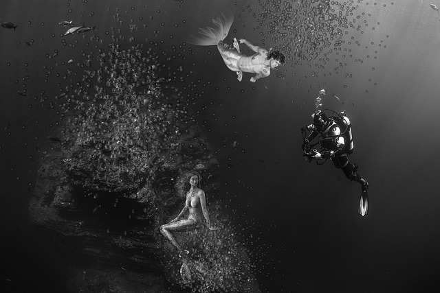 美人鱼 水生生物 神秘 - 上的免费照片