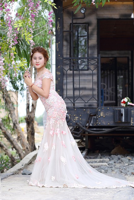 婚礼照片越 婚礼照片越南 婚礼的照片 - 上的免费照片
