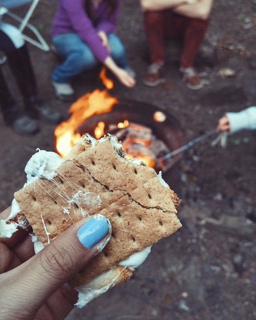 S&#39;More 食物 小吃 - 上的免费照片