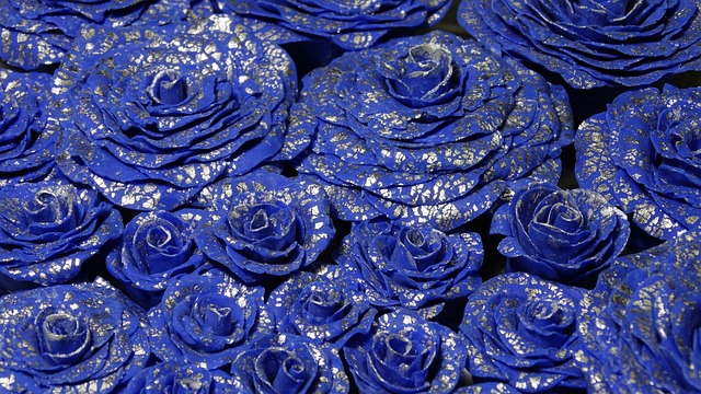 玫瑰 蓝色的 花 - 上的免费照片