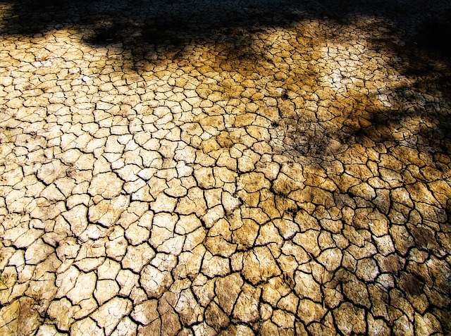 破裂的地球 干燥的陆地 Mangue - 上的免费照片