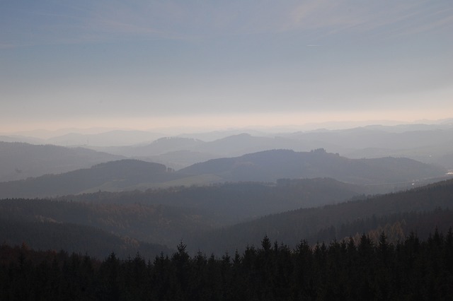 Sauerland 森林 德国 - 上的免费照片