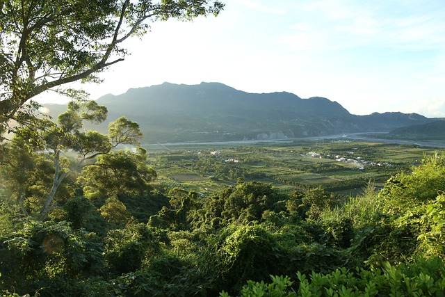 風景 鄉村 - 上的免费照片