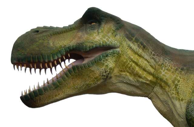 恐龙 原始时代 迪诺 - 上的免费照片