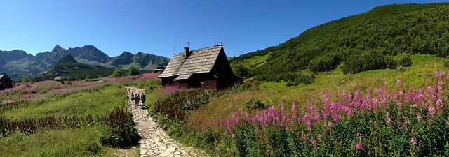 冬奥会 山 高塔特拉山区 - 上的免费照片