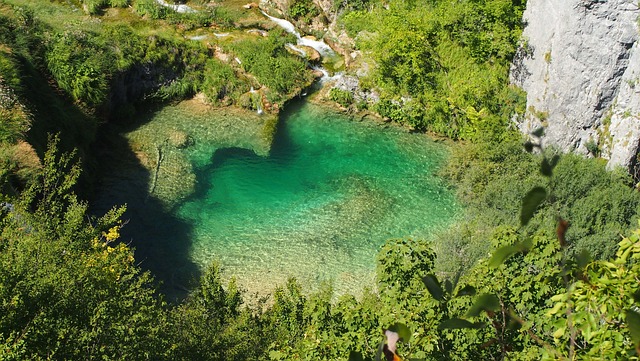 十六湖 克罗地亚 森林 - 上的免费照片