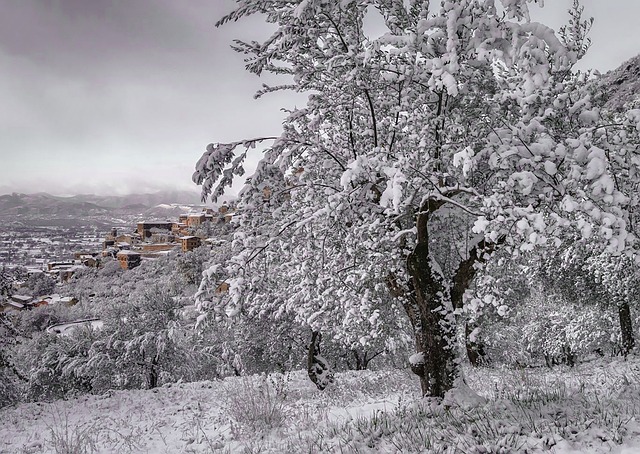 雪 冬天 意大利 - 上的免费照片