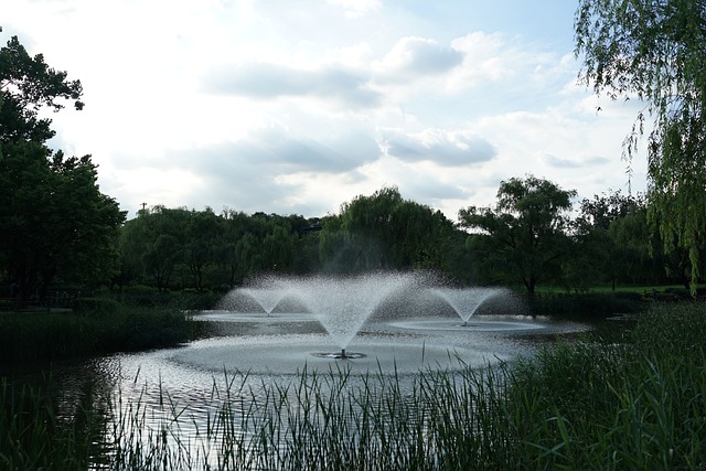 龙山的家庭公园 喷泉 花园的喷泉 - 上的免费照片
