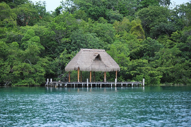 Bacalar 海 水 - 上的免费照片