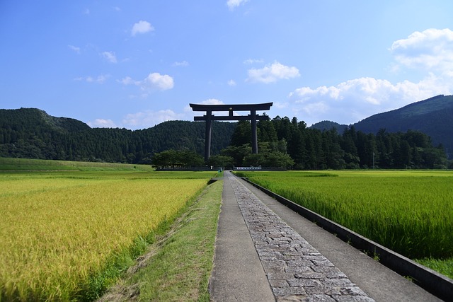 日本 和歌山 神社 - 上的免费照片