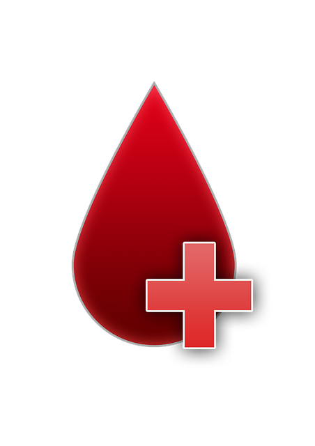 血 一滴血 血型 - 上的免费图片