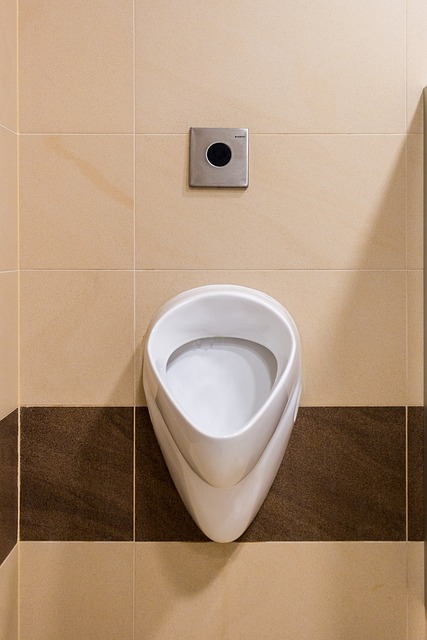 小便池 厕所 公共卫生间 - 上的免费照片