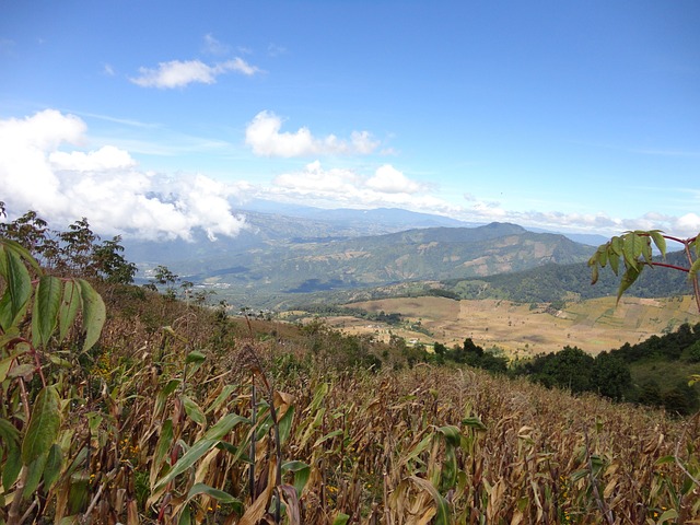 Acatenango 危地马拉 火山 - 上的免费照片