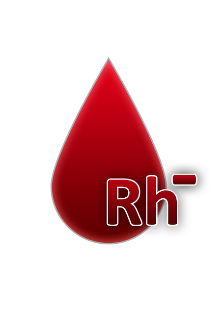 血型 Rh负面因素 血 - 上的免费图片