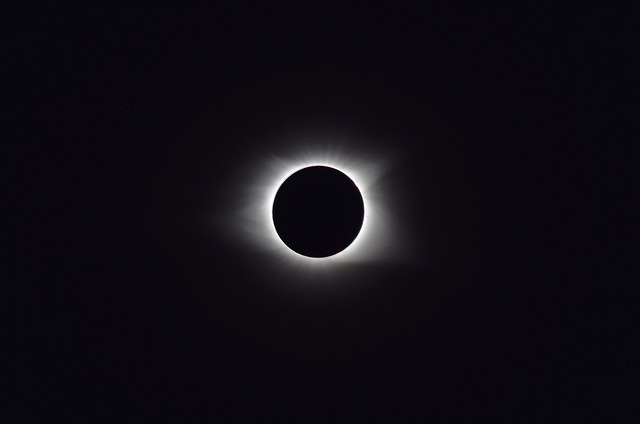 日食2017 全部 田纳西州 - 上的免费照片