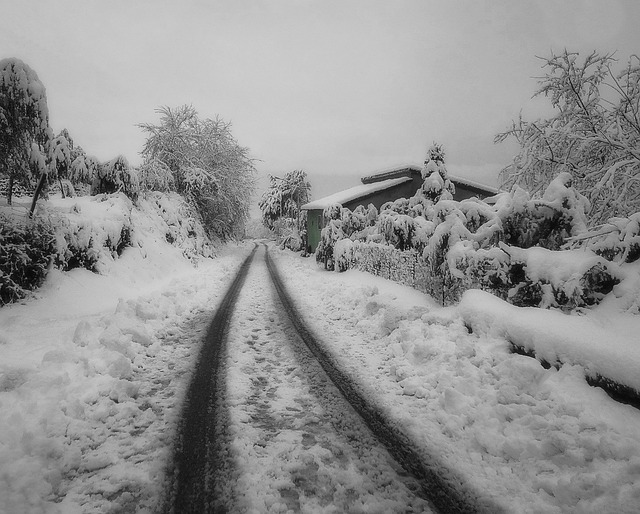 雪 斯佩 冬天 - 上的免费照片