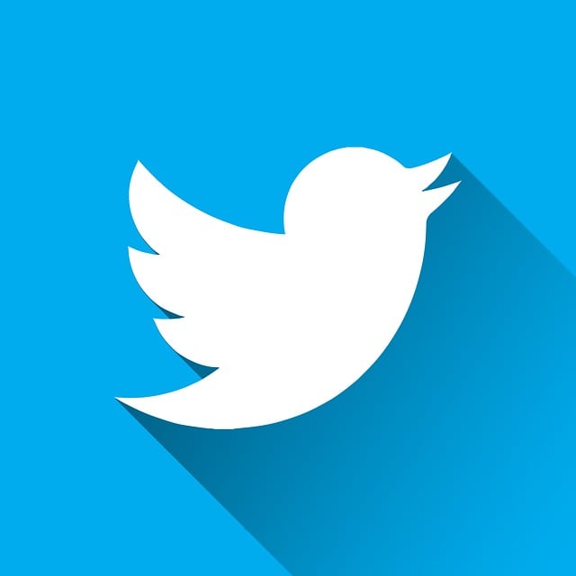 Twitter 标识 - 上的免费图片