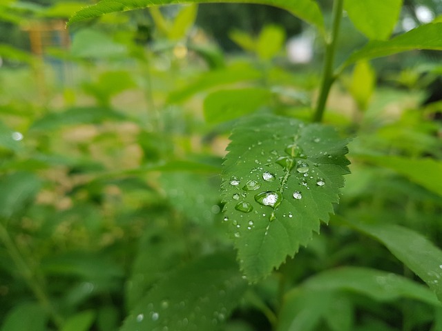 摘要 水上 背景 - 上的免费照片