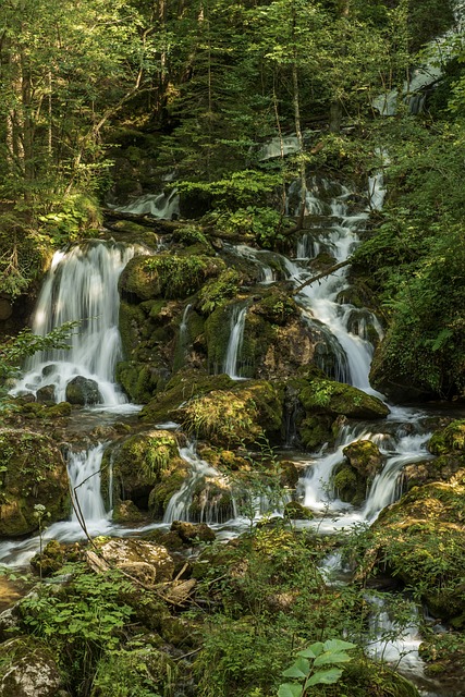 瀑布承担的保护峡谷 奥地利 施蒂里亚 - 上的免费照片