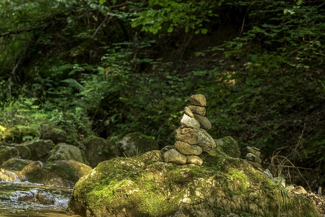 瀑布承担的保护峡谷 奥地利 施蒂里亚 - 上的免费照片