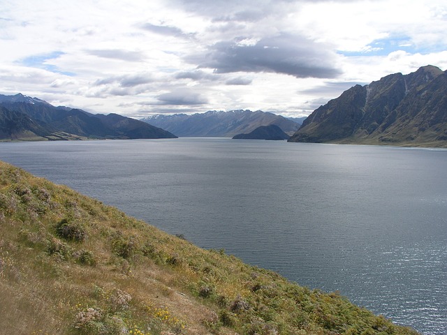 新的 新西兰 哈威亚湖 - 上的免费照片
