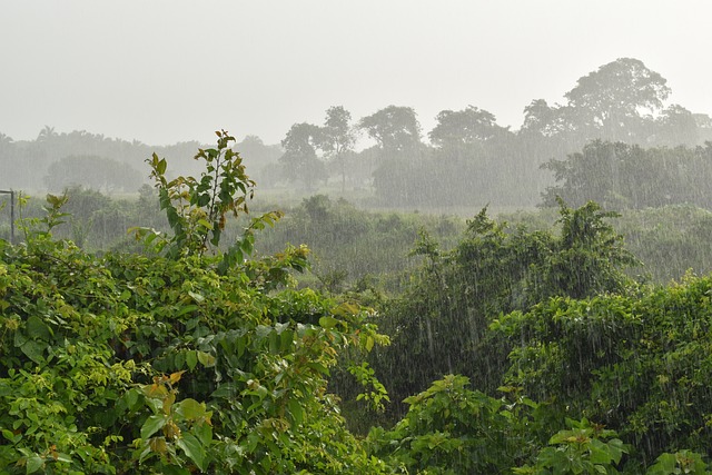 雨 下雨天 滴 - 上的免费照片