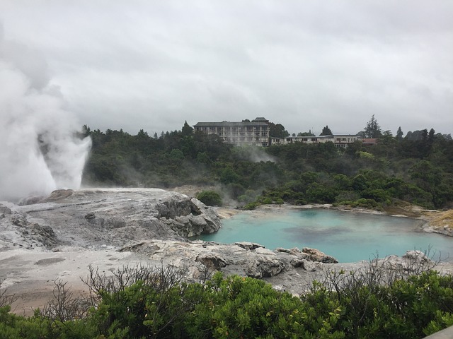 罗托鲁瓦（Rotorua） 新西兰 喷泉 - 上的免费照片