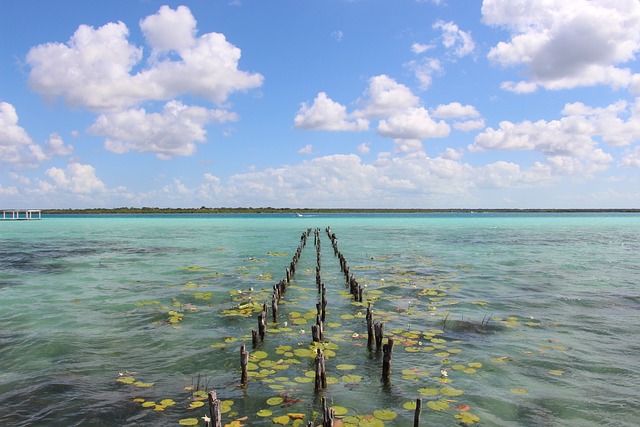 Bacalar 魔法小镇 金塔纳罗奥州 - 上的免费照片