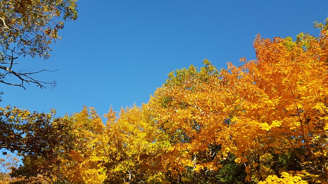 秋天 密歇根州 铜港 - 上的免费照片