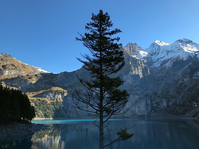 枞树 高山湖泊 山 - 上的免费照片