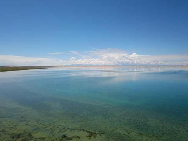 青海湖 沙岛 - 上的免费照片