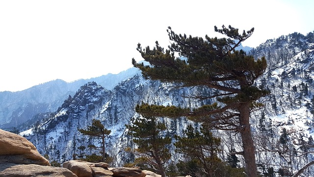 雪岳山 江原 束草市 - 上的免费照片