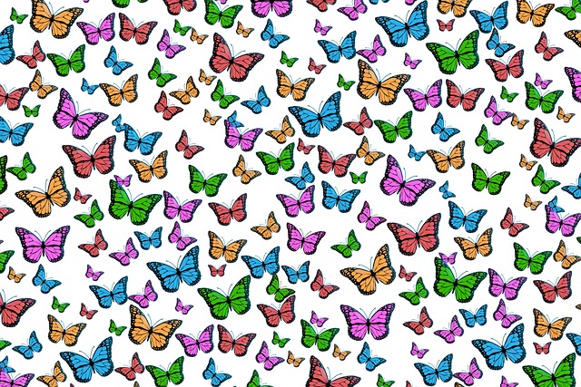 蝴蝶 多彩多姿的 模板 - 上的免费照片