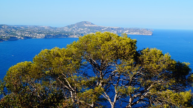 西班牙 Calpe 海 - 上的免费照片