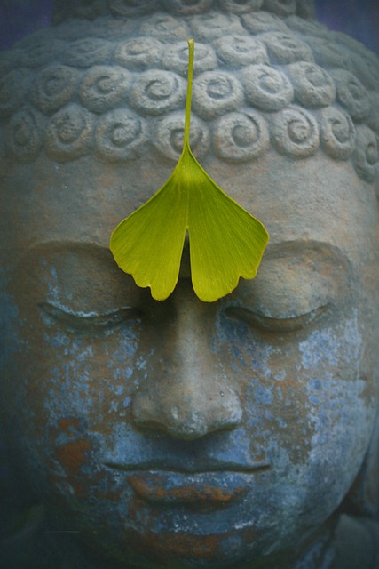 佛 禅宗 冥想 - 上的免费照片